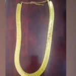 சிதம்பரம் நடராஜர் கோவில்: சிவகாமி அம்மனுக்கு ரூ.45 லட்சம் மதிப்பிலான தங்கக் காசு மாலை காணிக்கை!