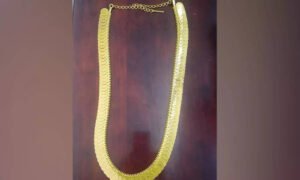 சிதம்பரம் நடராஜர் கோவில்: சிவகாமி அம்மனுக்கு ரூ.45 லட்சம் மதிப்பிலான தங்கக் காசு மாலை காணிக்கை!