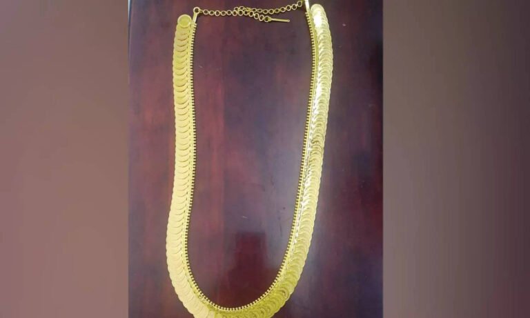 சிதம்பரம் நடராஜர் கோவில்: சிவகாமி அம்மனுக்கு ரூ.45 லட்சம் மதிப்பிலான தங்கக் காசு மாலை காணிக்கை!