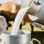 பால் மற்றும் தயிர் விலை அதிரடியாக உயர்ந்தது… எவ்வளவு தெரியுமா..? 