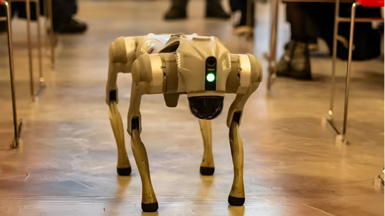 AI தாக்க உச்சி மாநாட்டிலிருந்து வெளியேற உத்தரவிடப்பட்டு நொய்டாவின் பிரபல கால்கோடியாஸ் பல்கலைக்கழகம்  