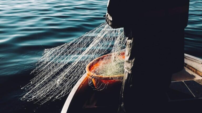 மேகாலயாவில் பங்களாதேஷ் மீன்களுக்குத் தடை:   