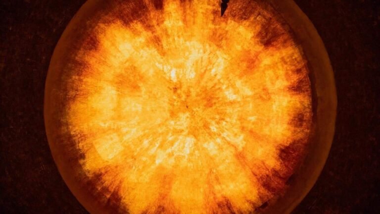 தனது விளையாட்டு அறையிலேயே அணு உலையை உருவாக்கி 12 வயது சிறுவன் சாதனை  