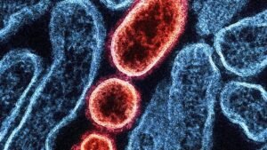 மேற்கு வங்கத்தில் நிபா வைரஸ் பலி: நர்ஸ் உயிரிழந்ததால் பதற்றம்  