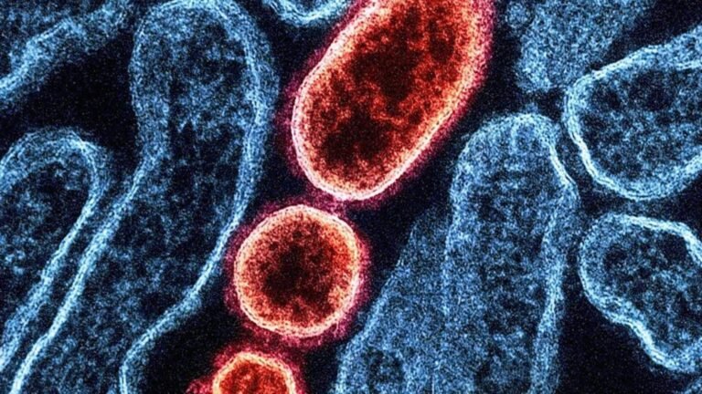 மேற்கு வங்கத்தில் நிபா வைரஸ் பலி: நர்ஸ் உயிரிழந்ததால் பதற்றம்  