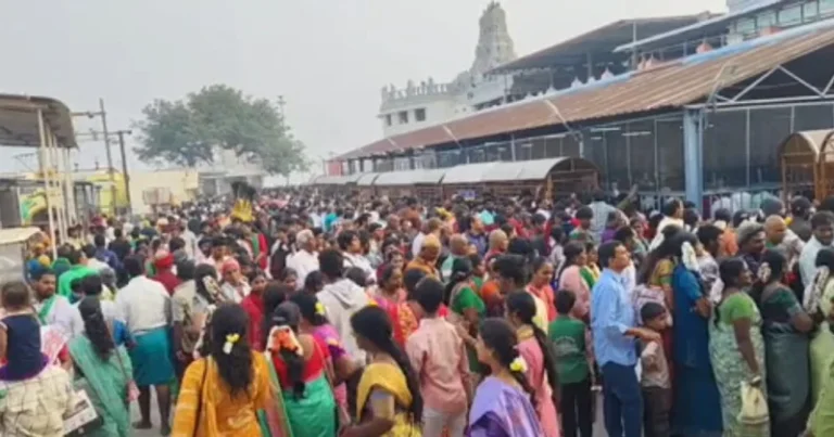 தைப்பூச திருவிழா – திருத்தணி, வயலூர், சென்னிமலை முருகன் கோயிலில் குவிந்த பக்தர்கள்!