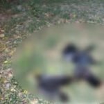 சென்னை, கடலூரை தொடர்ந்து மதுரையிலும் காகங்கள் உயிரிழப்பு- மக்கள் அச்சம்