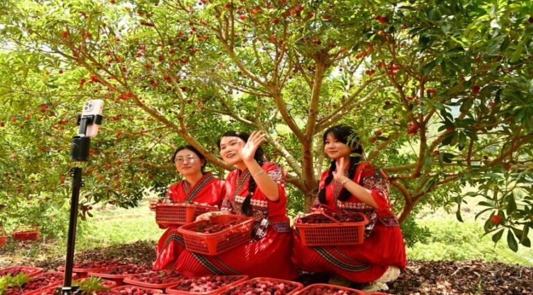 மாபெரும் திட்டத்தை உண்மையாக மாறுவதில் சீனாவின் முயற்சிகள்