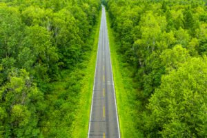 வன பரப்பளவு மற்றும் வன இருப்பு அளவு 40 ஆண்டுகளாக அதிகரித்து வரும் சீனா