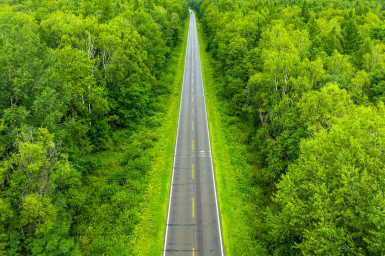 வன பரப்பளவு மற்றும் வன இருப்பு அளவு 40 ஆண்டுகளாக அதிகரித்து வரும் சீனா