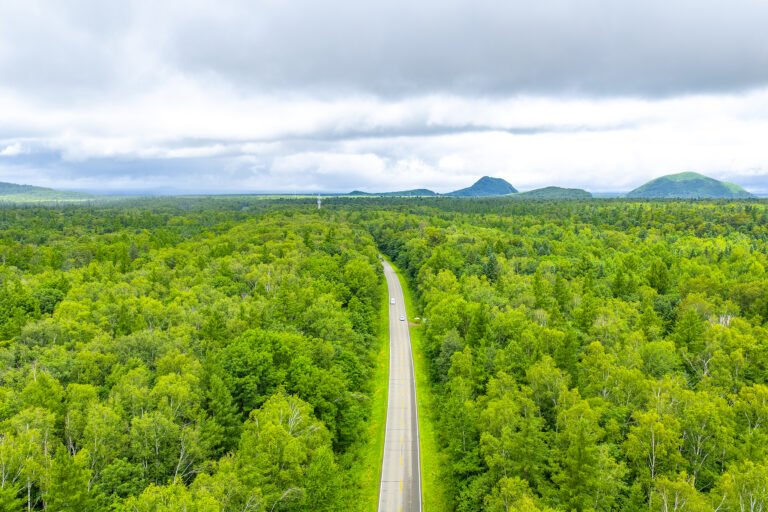 உலகில் புதிதாக சேர்க்கப்பட்ட பசுமை நிலத்தில் 25 சதவீத பங்கைக் கொண்டிருக்கும் சீனா