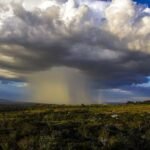 “விண்வெளியில் ஒரு மர்மக் கடல்!” – பூமியை விட 140 லட்சம் கோடி மடங்கு அதிகத் தண்ணீர்..