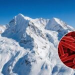 புதிய பாக்டீரியா வகையைக் கண்டறிந்த இந்திய விஞ்ஞானிகள்  