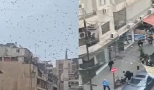 அழிவா அல்லது ஆதரவா? இஸ்ரேல் போர் விமானங்களில் இருந்து ஆயிரக்கணக்கான காகிதங்களை கொட்டியது ஏன்? பின்னணியில் உள்ள ரகசியம்.. கலக்கத்தில் மக்கள்..!! 