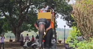 இயந்திர யானை சவாரி – கேரளாவில் அறிமுகம்!