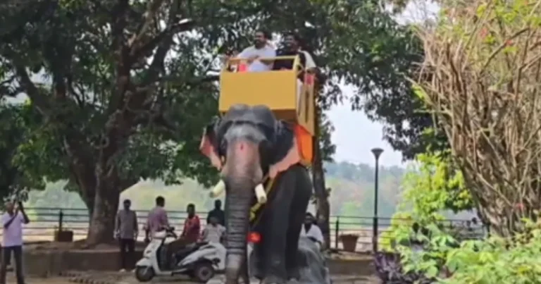 இயந்திர யானை சவாரி – கேரளாவில் அறிமுகம்!