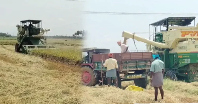 நெல் கொள்முதல் விலை உயர்வு – விவசாயிகள் மகிழ்ச்சி!