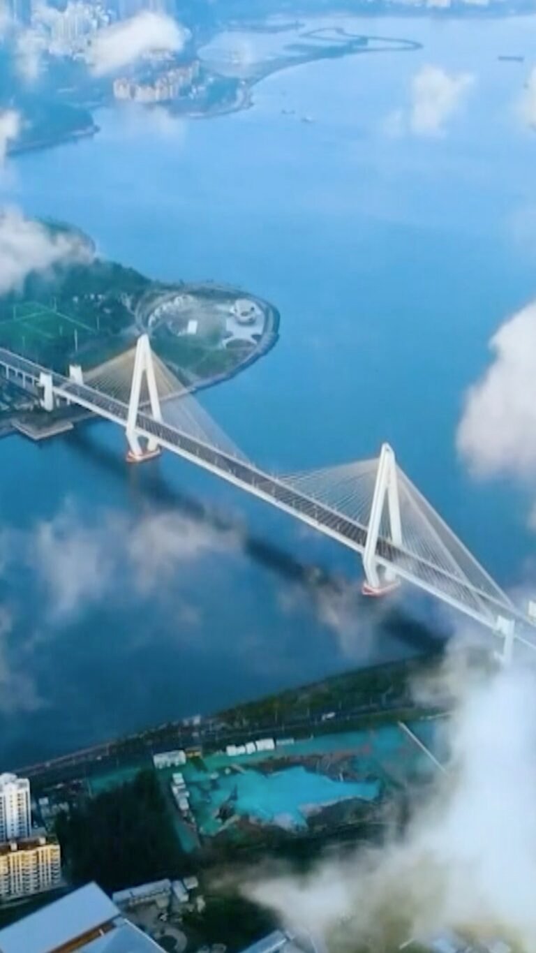 கத்தார் மற்றும் பாகிஸ்தான் வெளியுறவு அமைச்சர்களுடன் வாங்யீ தொடர்பு