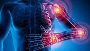 மாதவிடாய் நின்ற பெண்களுக்கு எலும்பை காக்கும் இந்த கொட்டை