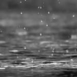 தமிழகத்தில் கனமழை எச்சரிக்கை: 7 மாவட்டங்களில் கொட்டப்போகும் மழை  