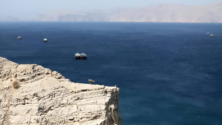 அமெரிக்க-ஈரான் போர் நிறுத்தத்தை வரவேற்ற இந்தியா; ‘தடையற்ற’ கப்பல் போக்குவரத்திற்கு அழைப்பு  