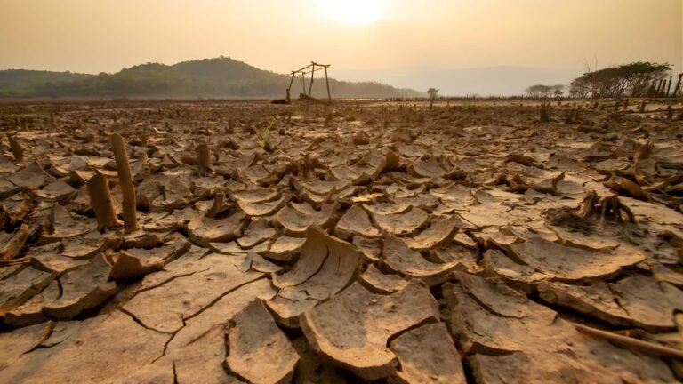இந்த ஆண்டு பருவமழை குறையும்! எல் நினோ வருகையால் விவசாயிகளுக்குப் புதிய சவால்  