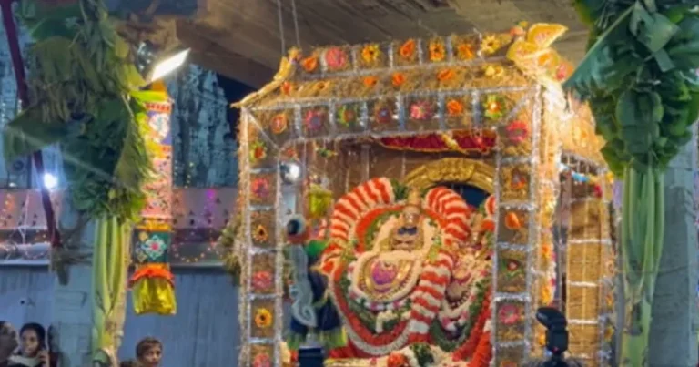 திருவண்ணாமலை அண்ணாமலையார் கோயில் சித்திரை வசந்த உற்சவ விழா!