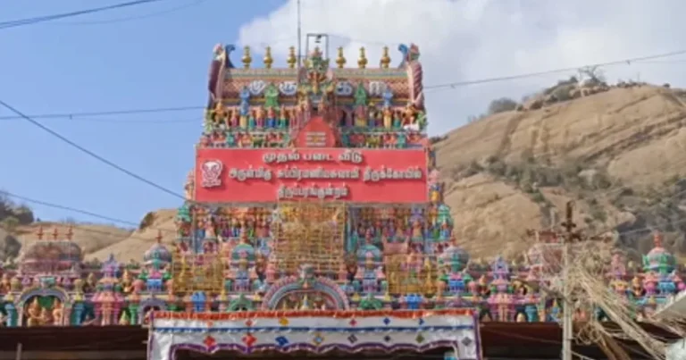 முருகன் கோயில்களில் பங்குனி உத்திர திருவிழா சிறப்பு வழிபாடு – திரளான பக்தர்கள் பங்கேற்பு!