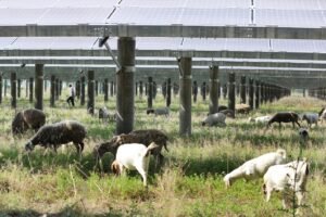 எரியாற்றல் நெருக்கடியில் சீனா வெற்றியாளர்：ஜெர்மனி மற்றும் பிரிட்டன் ஊடகங்கள்