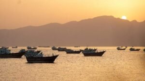 வணிகக் கப்பல்களுக்கு சுங்கக் கட்டணம் இல்லை: ஈரான் திடீர் விளக்கம்  