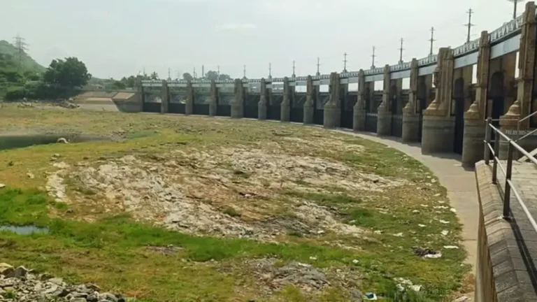 திறக்கப்படாத மேட்டூர் அணை… வறண்டு கிடக்கும் டெல்டா! தமிழகத்திற்கு காவிரி ஏன் முக்கியம்?