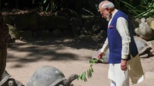 சீஷெல்ஸ் நாட்டிற்கு அரசுமுறை பயணம்: தேசிய தாவரவியல் பூங்காவில் 194 வயது ஜோனதன் ஆமைக்கு உணவளித்தார் பிரதமர் மோடி  