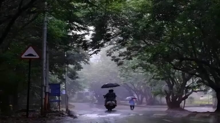 நெல்லை, தேனி, குமரி உள்ளிட்ட 3 மாவட்டங்களில் இன்று கனமழைக்கு வாய்ப்பு  