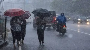 நீலகிரி, கோயம்புத்தூர், திருப்பூர் மாவட்டங்களுக்கு கனமழை அலர்ட்