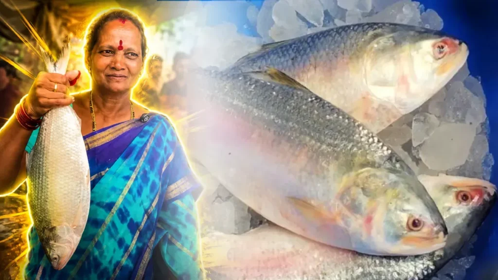 புதுச்சேரியில் ரூ. 15,000க்கு ஏலம் போன ’புலாசா’ மீன்! அப்படி என்ன ஸ்பெஷல்?