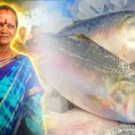 புதுச்சேரியில் ரூ. 15,000க்கு ஏலம் போன ’புலாசா’ மீன்! அப்படி என்ன ஸ்பெஷல்?