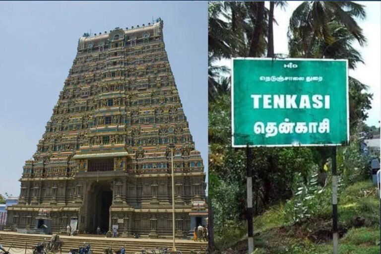 தென்காசி மாவட்டத்திற்கு ஜூலை 28 உள்ளூர் விடுமுறை