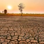 எல் நினோ புவி வெப்பமயமாதலை 2°C-க்கு மேல் அதிகரிக்கக்கூடும்: ஆய்வு  