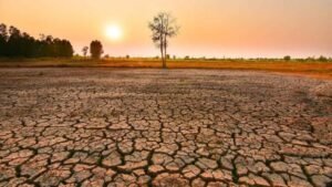 எல் நினோ புவி வெப்பமயமாதலை 2°C-க்கு மேல் அதிகரிக்கக்கூடும்: ஆய்வு  