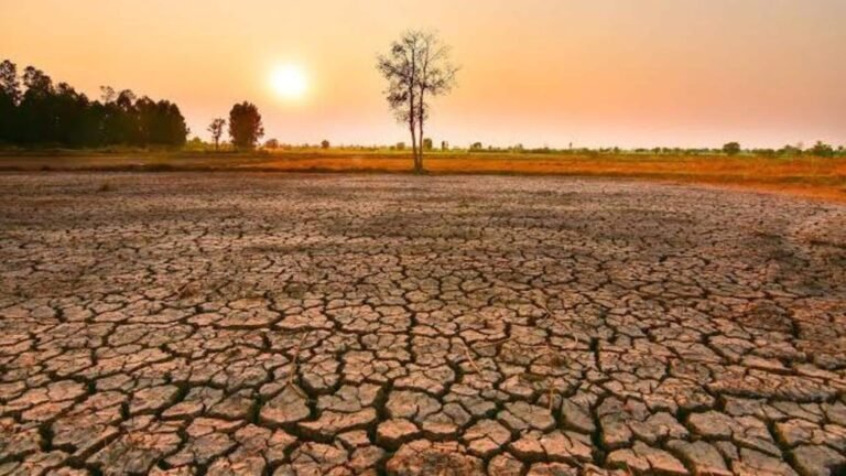 எல் நினோ புவி வெப்பமயமாதலை 2°C-க்கு மேல் அதிகரிக்கக்கூடும்: ஆய்வு  