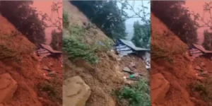நாகலாந்து கனமழை; 8 பேர் உயிரிழப்பு