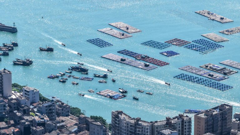 2026 முதல் பாதியில் சீனாவின் கடல்சார் பொருளாதாரம் வளர்ச்சி