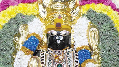 தாழம்பூ முதல் தாமரை வரை… அம்மனுக்கு உகந்த பூக்களும் அதன்பின் உள்ள ஆன்மீக பலன்களும்…! 