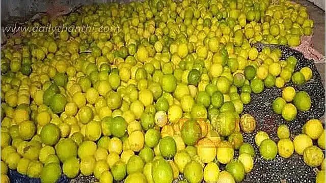 எலுமிச்சை விலை கிடுகிடு உயர்வு..!!