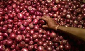 இல்லத்தரசிகள் ஷாக்..! 3 மடங்கு உயர்ந்த சின்ன வெங்காயம் விலை..!