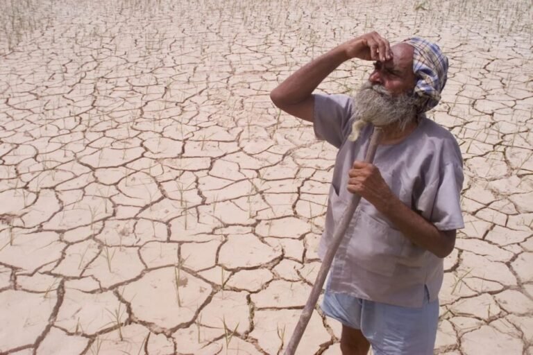 தமிழ்நாடு வறட்சி மண்டலமாக மாறும் அபாயம்…  தென்னிந்தியாவை உலுக்கி எடுத்த ரிப்போர்ட்…! 