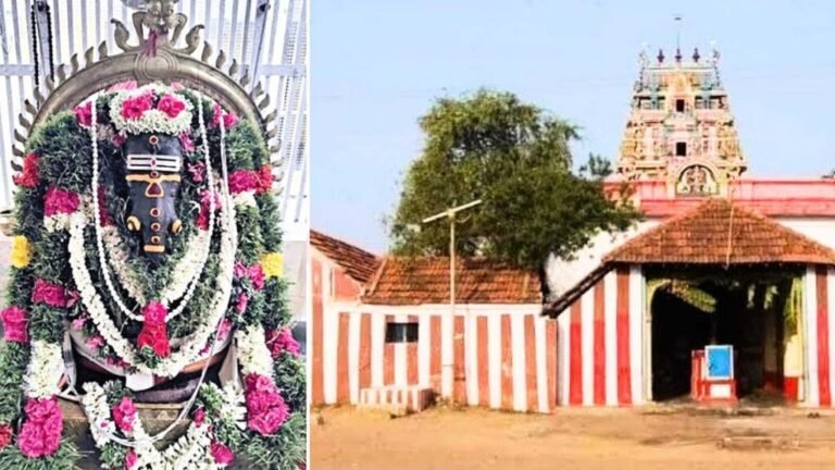 உப்பூர் வெயிலுகந்த விநாயகரின் ரகசியம்‌…!!