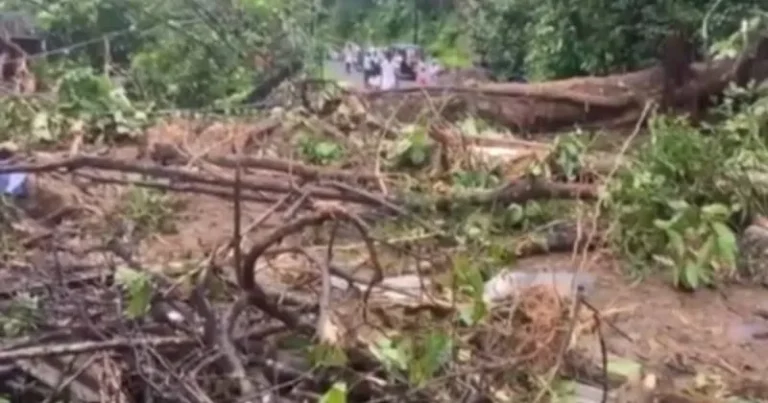 கேரள மாநிலம் இடுக்கியில் காட்டற்று வெள்ளம், நிலச்சரிவு – 9 பேர் பலி!