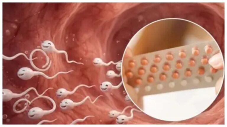 ஆண்களுக்கென்றே பிரத்யேகமாக ஒரு புதிய கருத்தடை மாத்திரை