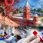 சென்னையில் எகிறும் டெங்கு! செப்டம்பரில் பாதிப்பு பல மடங்கு அதிகரிப்பு!